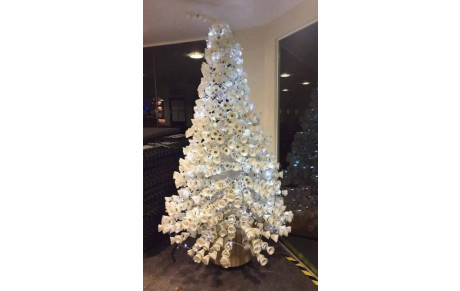 &quot;Too Bad...&quot; :(  - Pause des Entrainements pour les vacances de Noel -